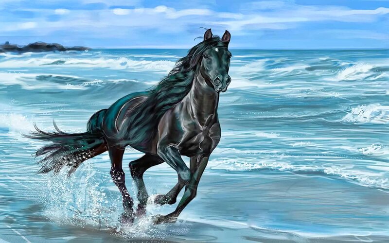 Black horse running on beach