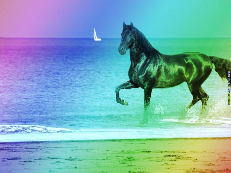 Black Horse Running on Beach — Green