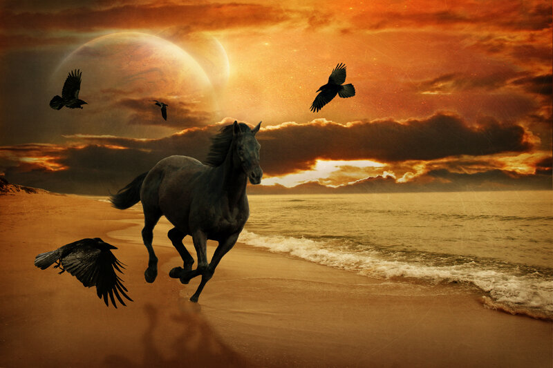 Black Horse Running — Orange, Dramatic