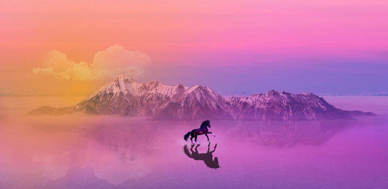 Black Horse Running — Pink