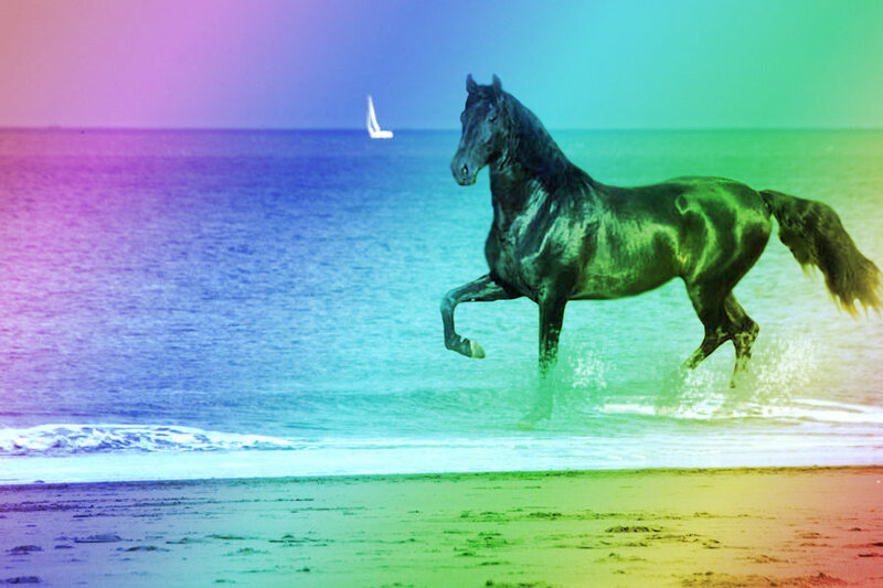 Black Horse Running — Purple, Dreamy
