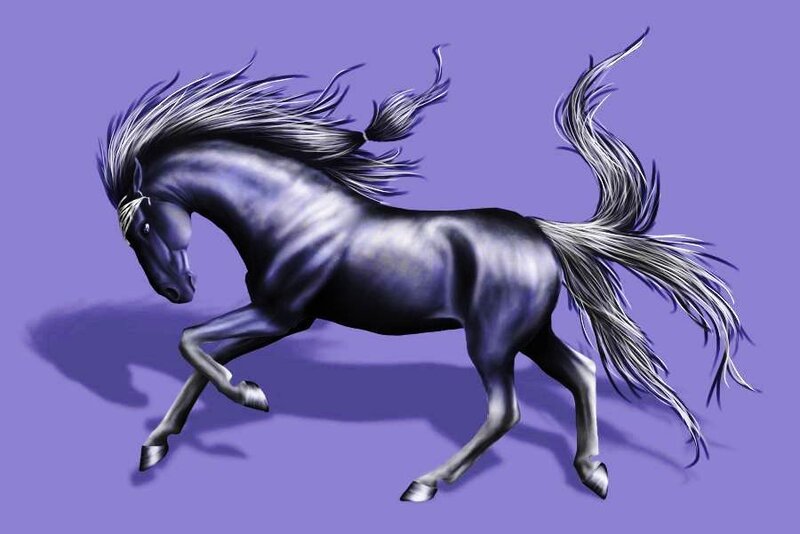 Black Horse Running — Purple