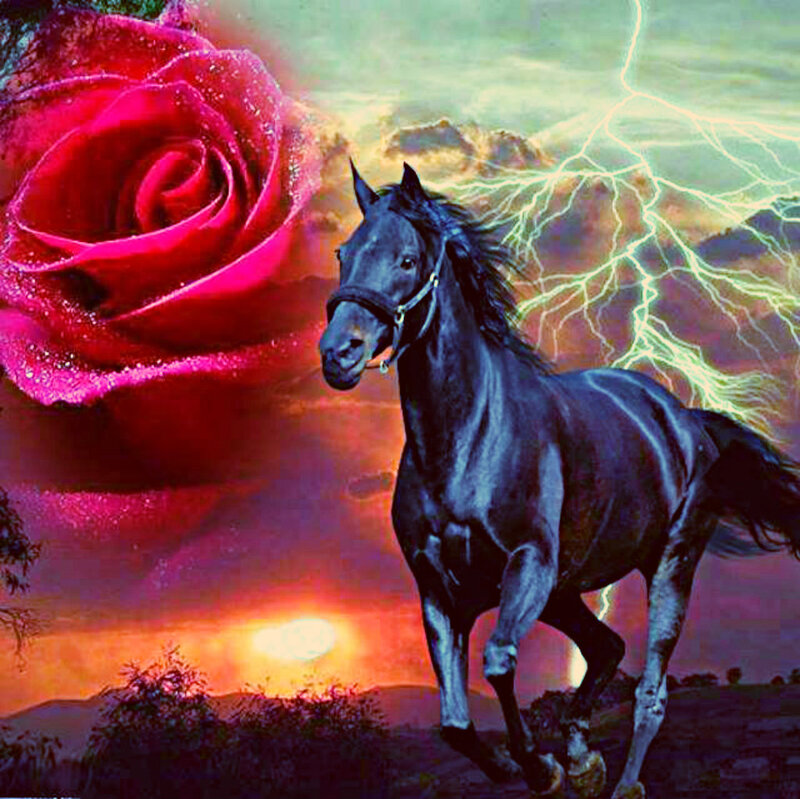 Black Horse Running — Red