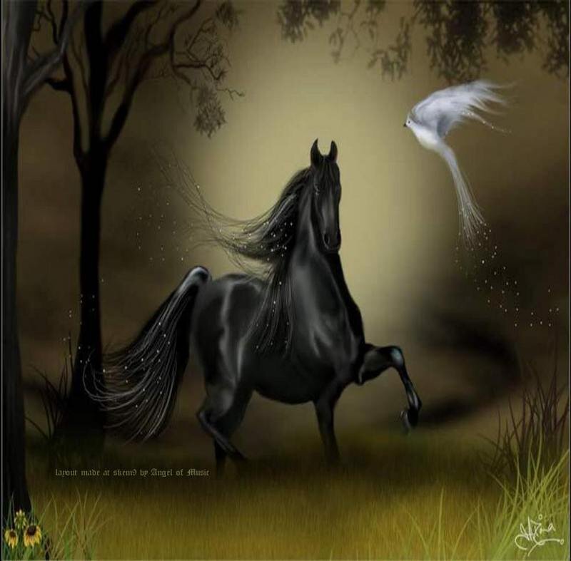 Black Horse Running — Serene