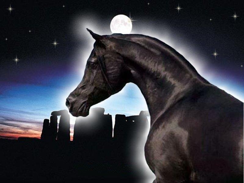 Black Horse Silhouette