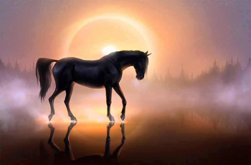 Black Horse Standing — Orange