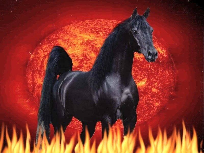 Black Horse Standing — Red