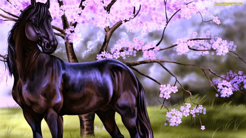 Black Horse under Blossoms — Purple