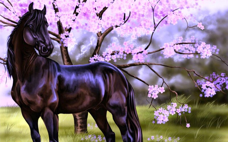 Black Horse under Blossoms