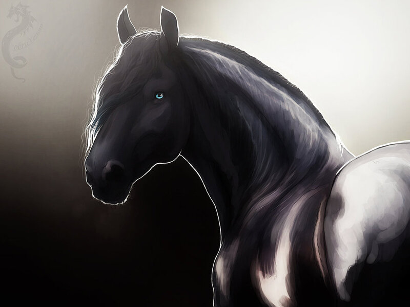 Black Horse with Blue Eyes