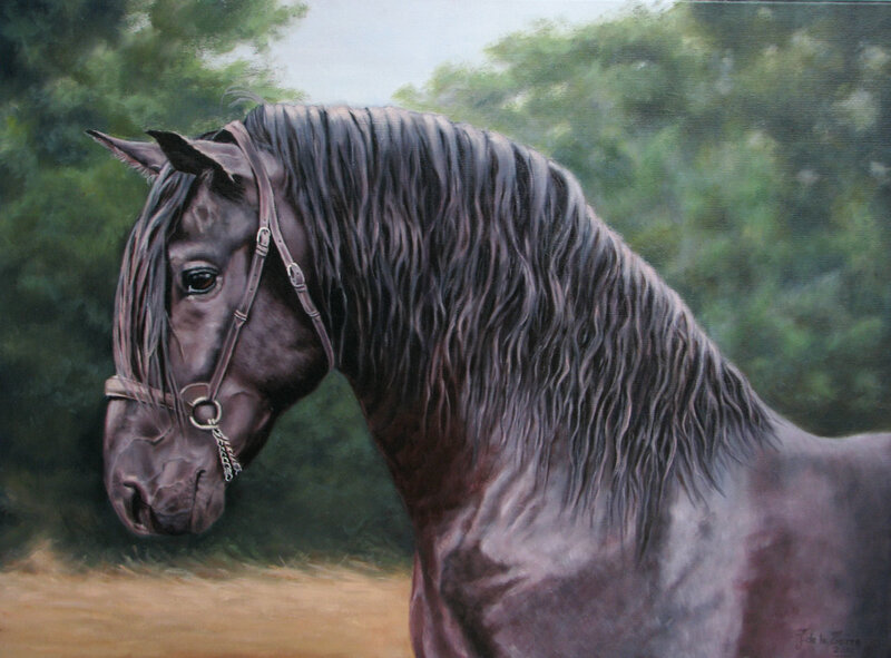 Black Horse with Bridle — Brown