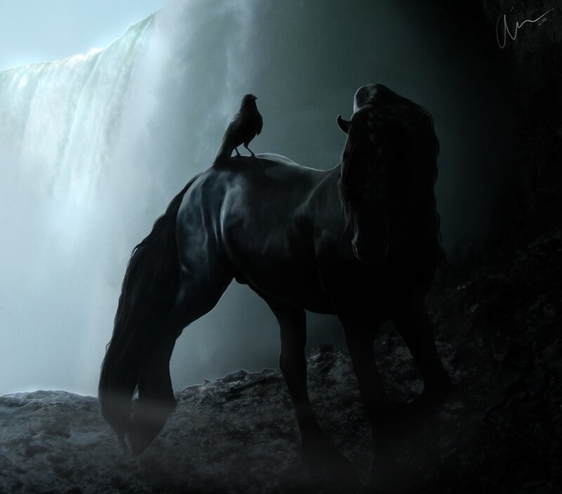 Black Horse with Crow