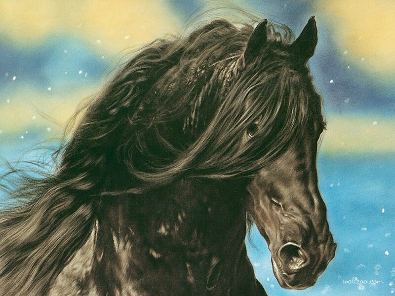Black Horse with Flowing Mane — Blue
