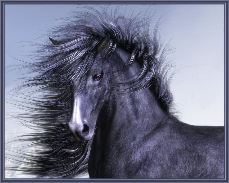 Black Horse with Flowing Mane — Gray, Dramatic, Digital Art