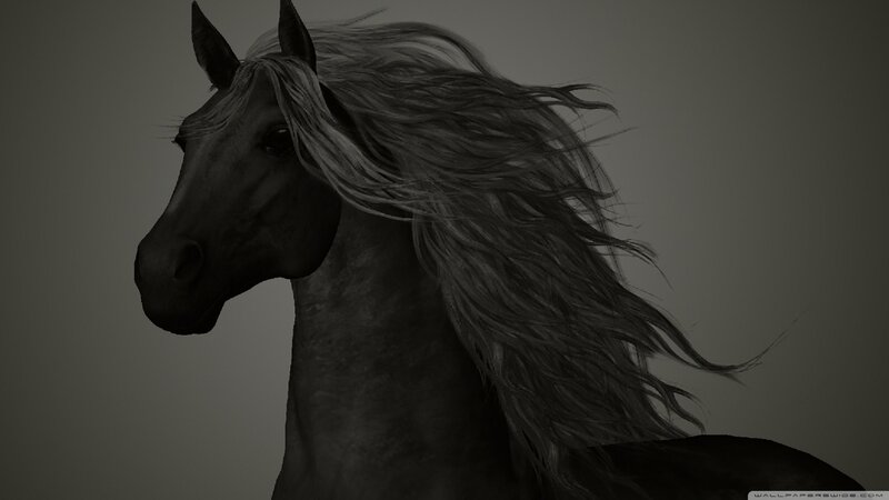 Black Horse with Flowing Mane — Gray, Dramatic