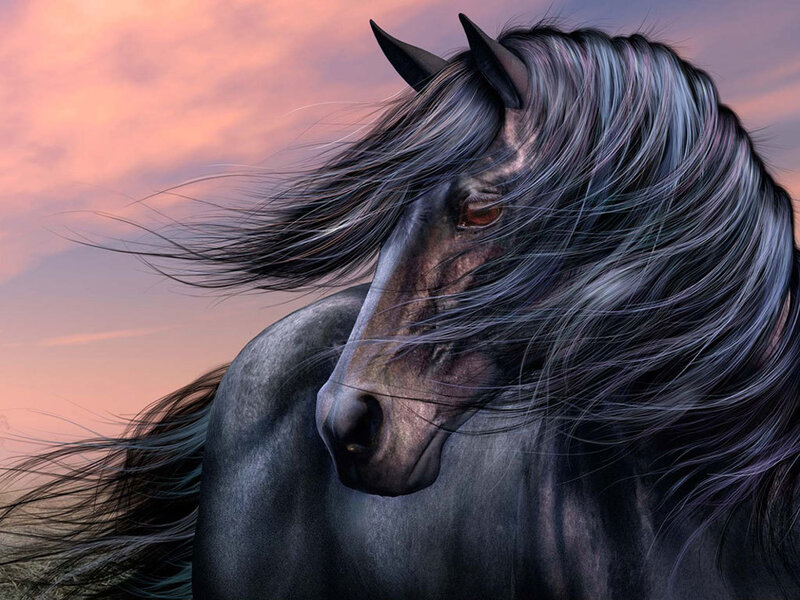 Black Horse with Flowing Mane — Gray