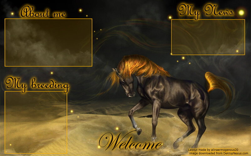 Black Horse with Golden Mane — Dramatic, Night, Digital Art