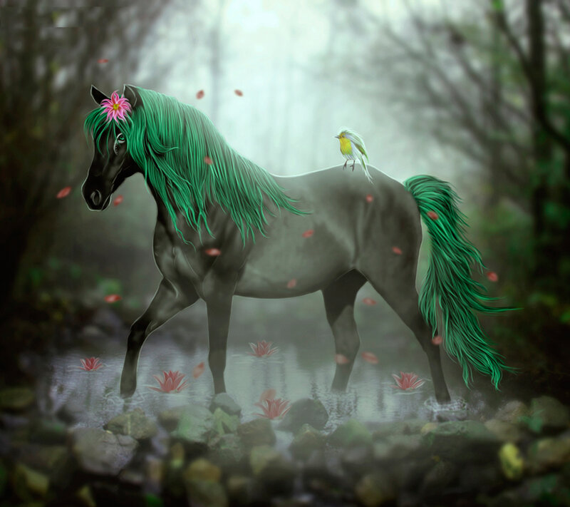 Black Horse with Green Mane — Serene