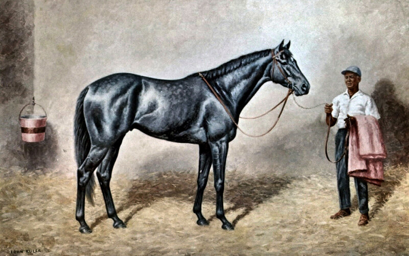 Black Horse with Handler — Calm