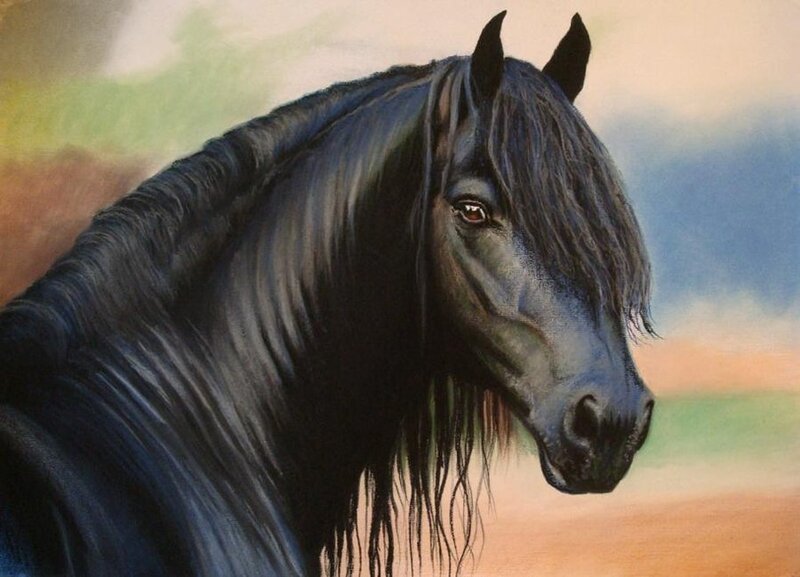 Black Horse with Mane — Calm