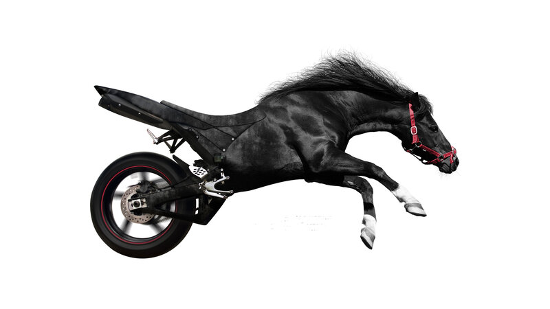 Black Horse with Motorcycle Parts