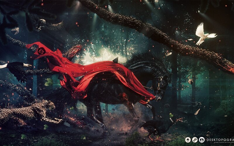 Black Horse with Red Cloak
