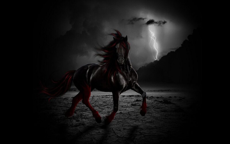 Black Horse with Red Mane — Dramatic