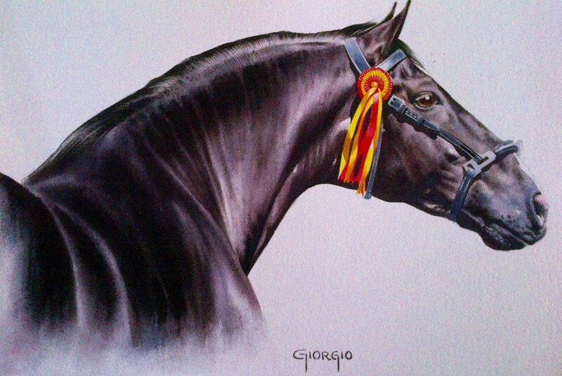 Black Horse with Ribbon — Calm, Illustration