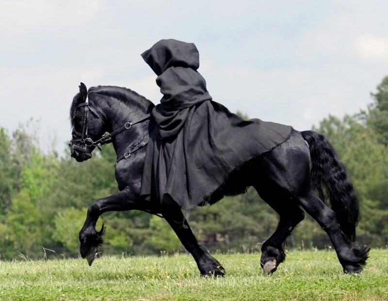 Black Horse with Rider — Dynamic