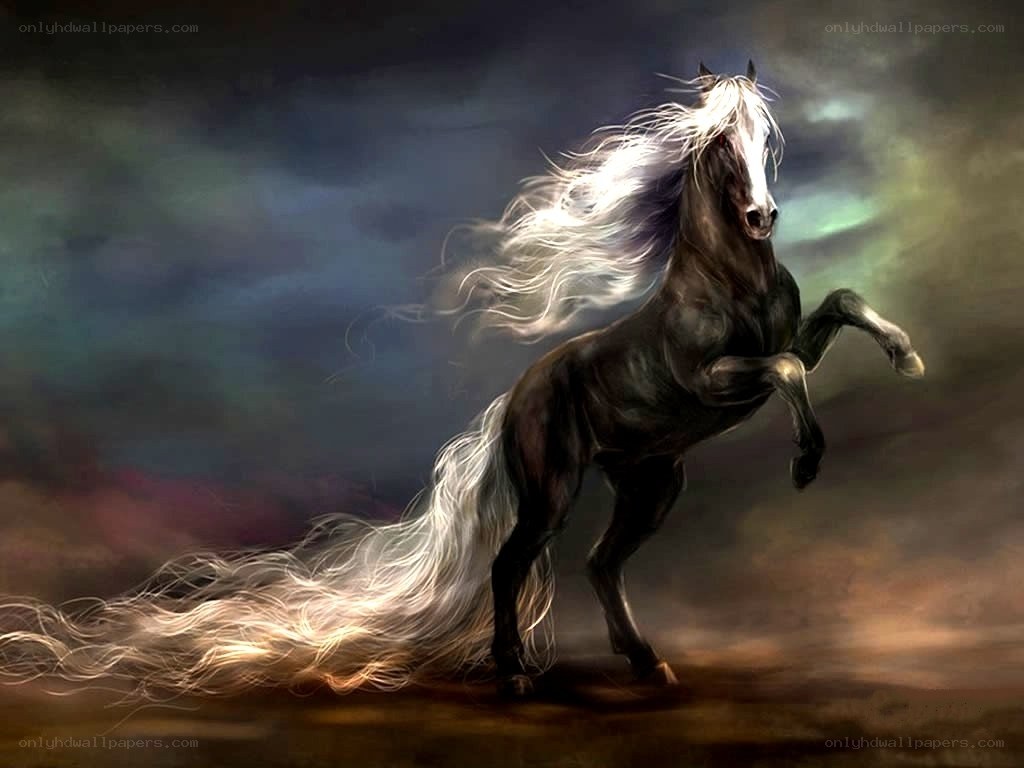 black horse with white mane