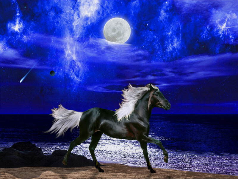 Black Horse with White Mane — Blue