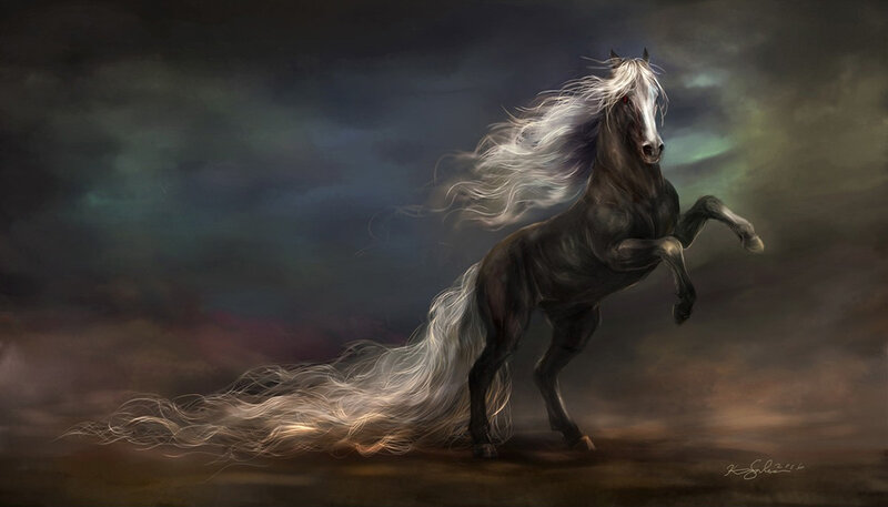 Black Horse with White Mane — Gray