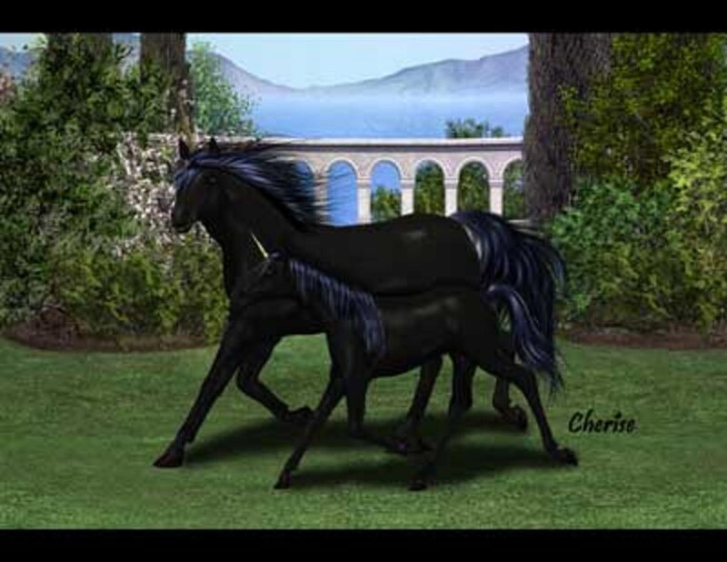 Black Horses Running