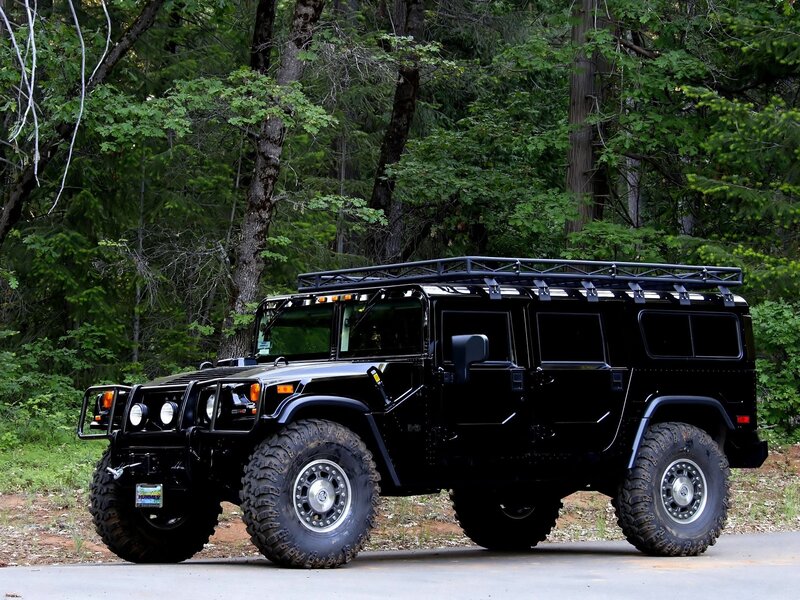 Black Hummer in forest