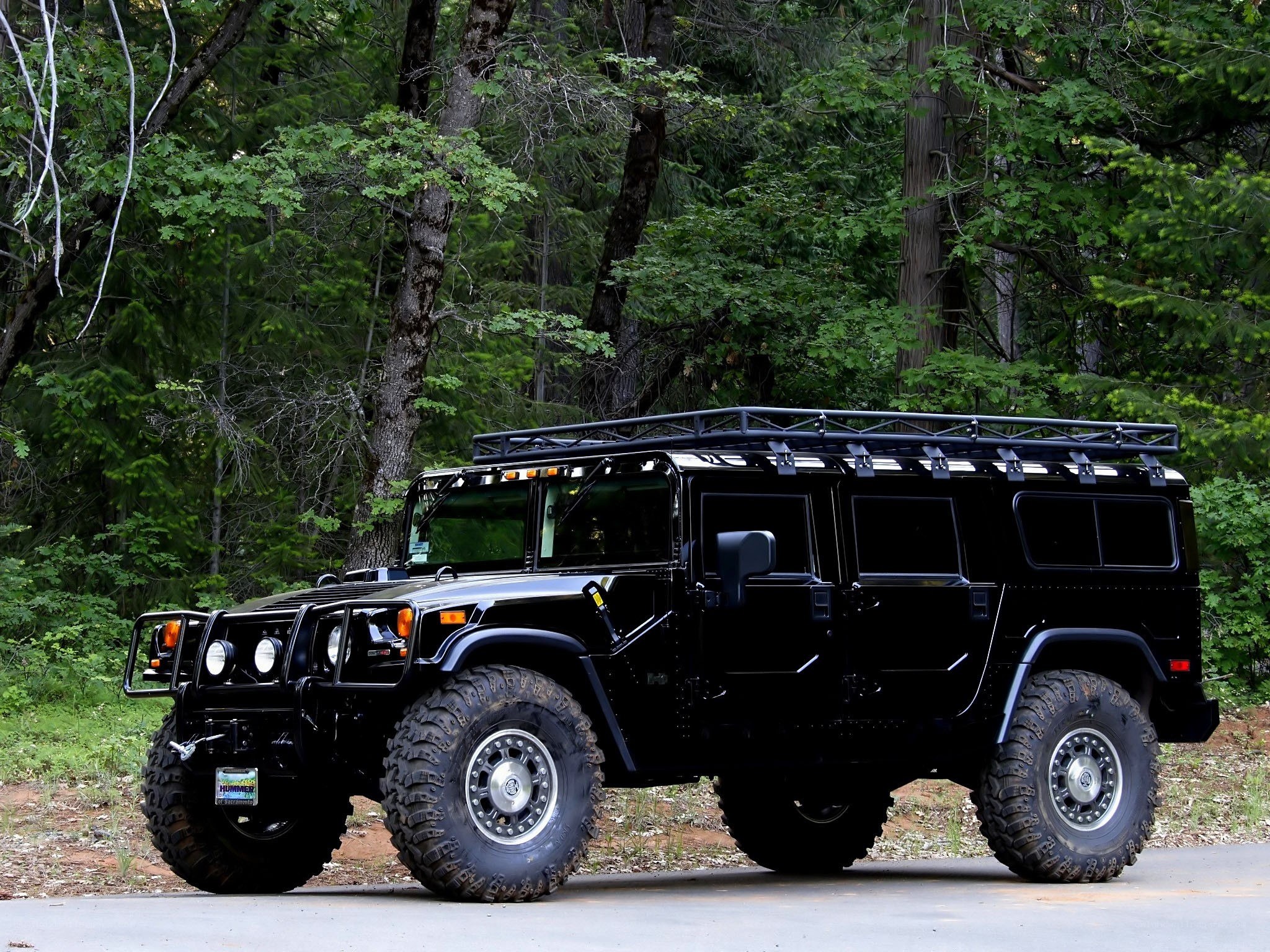 Black Hummer in forest