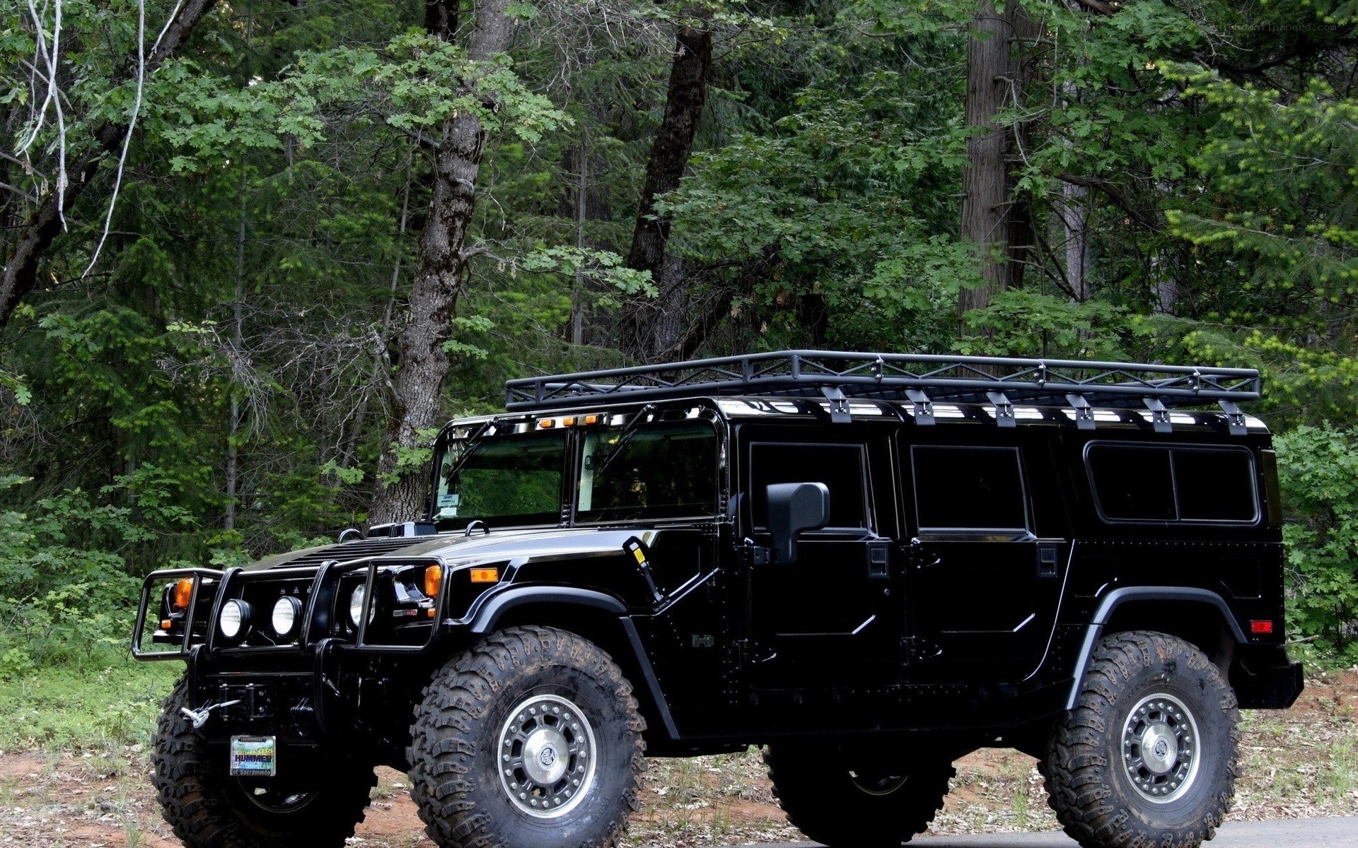 black hummer in forest