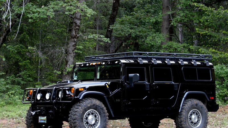 Black Hummer in Forest — Natural