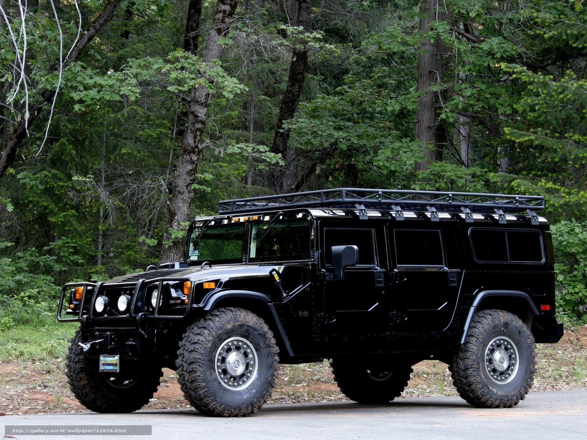 Black Hummer in forest