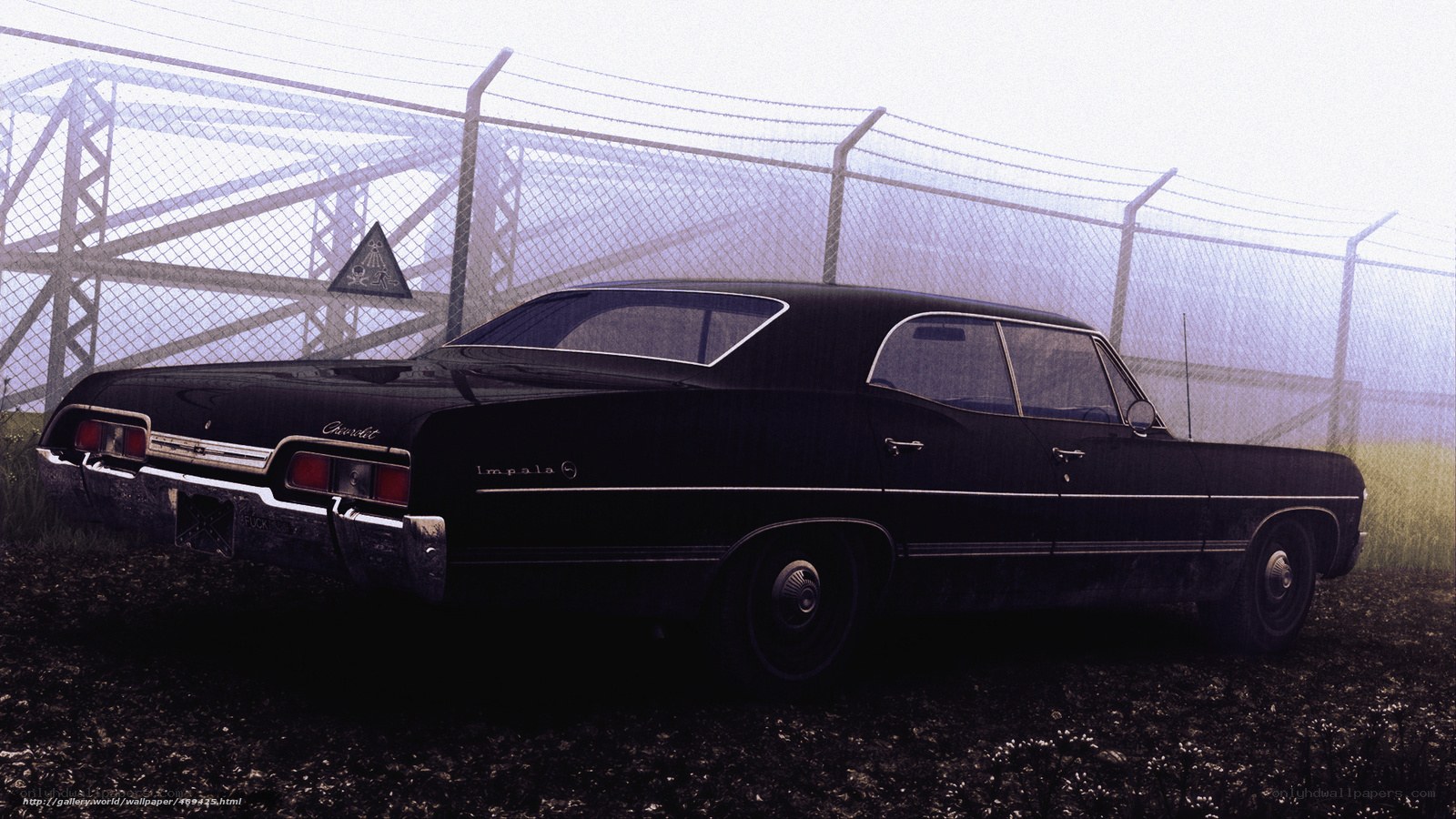 Black Impala by fence