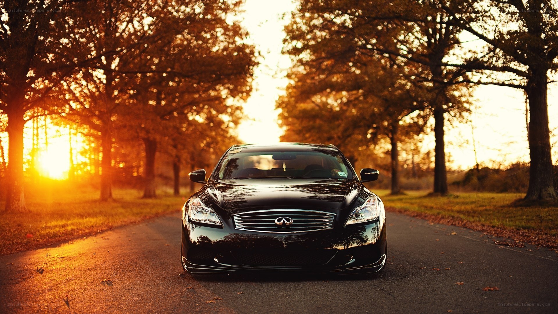 black infini on road at sunset