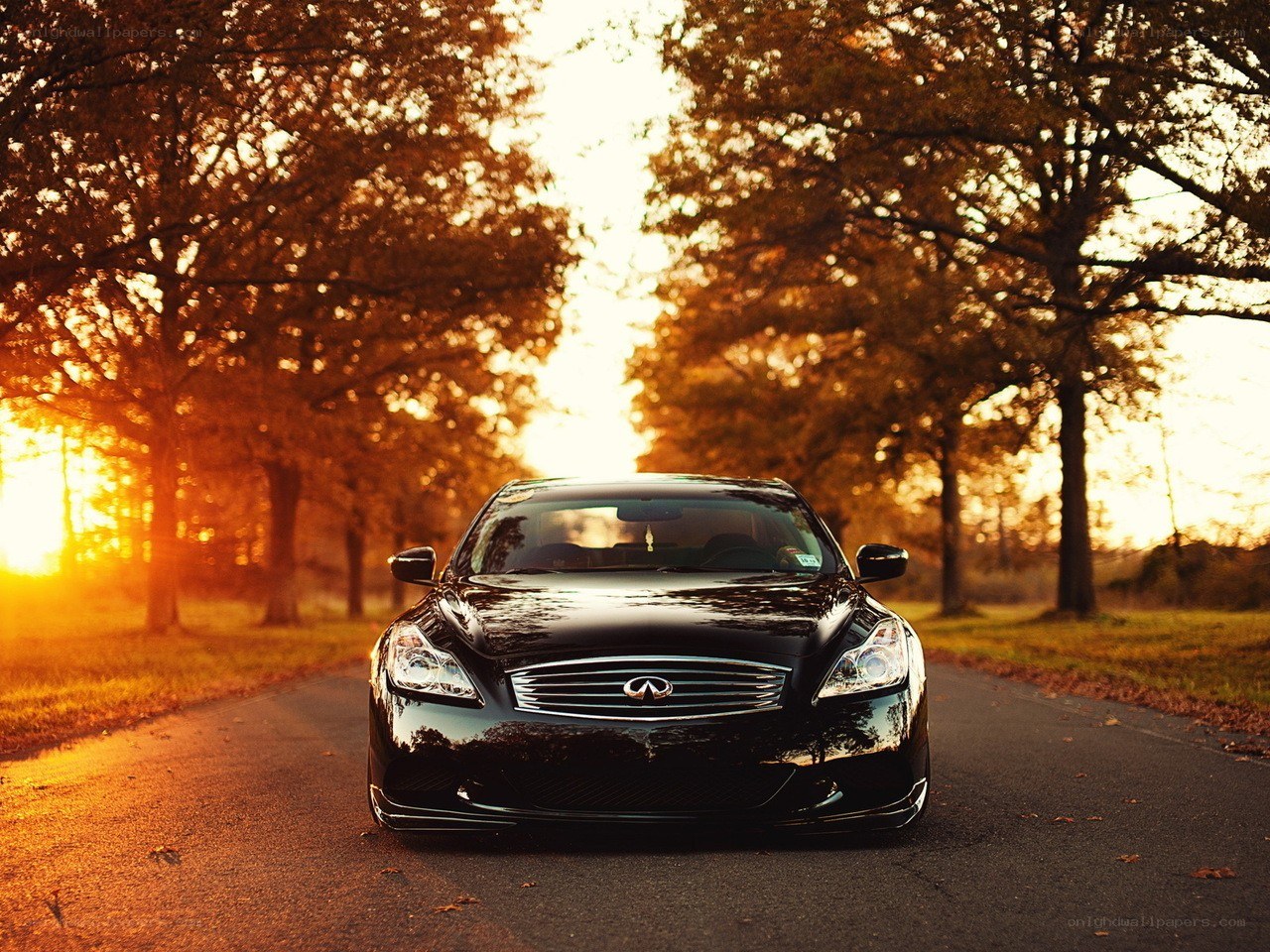 Black Infiniti on a tree-lined road
