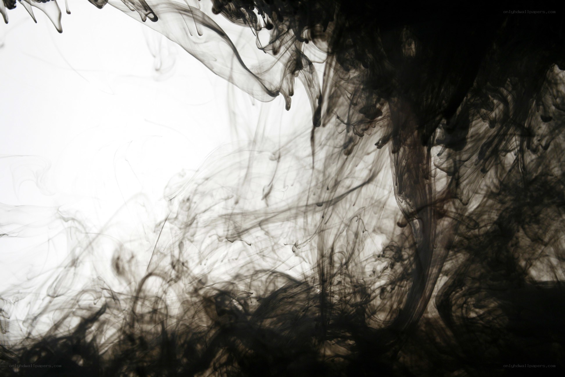 black ink dispersing in water