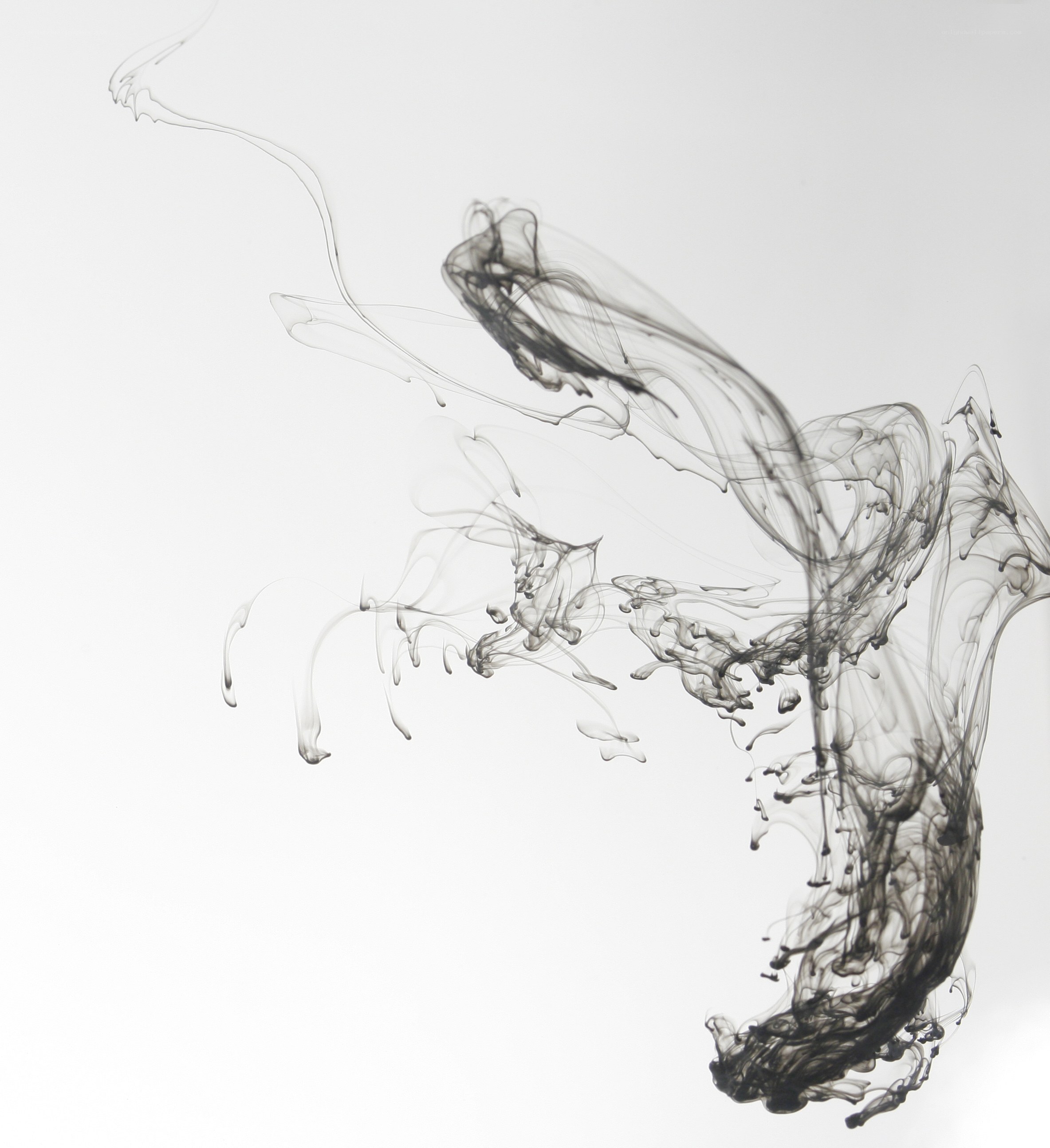 black ink in water