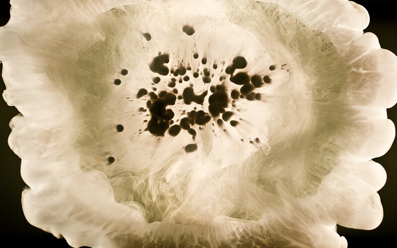 Black Ink in Water — White