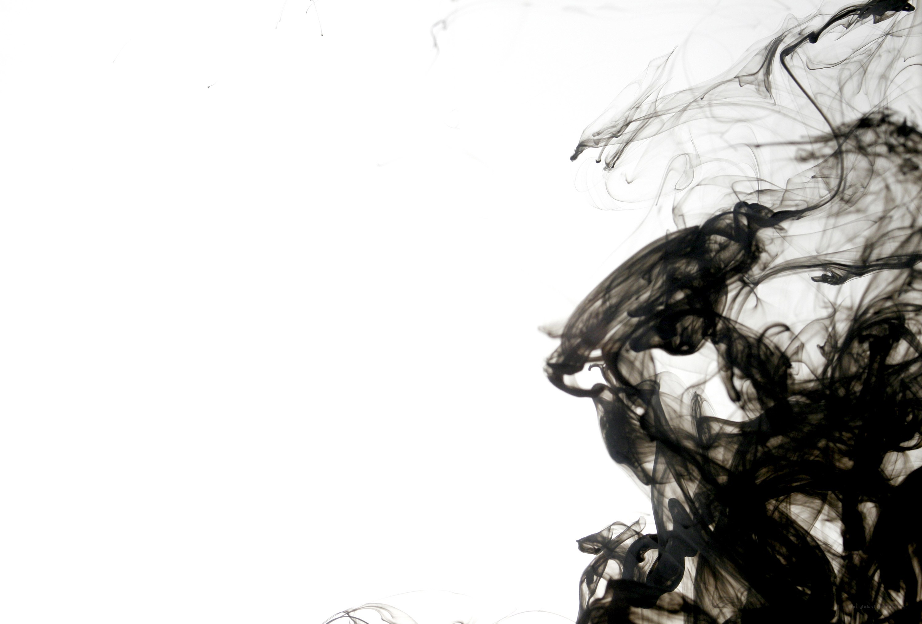 black ink in white liquid