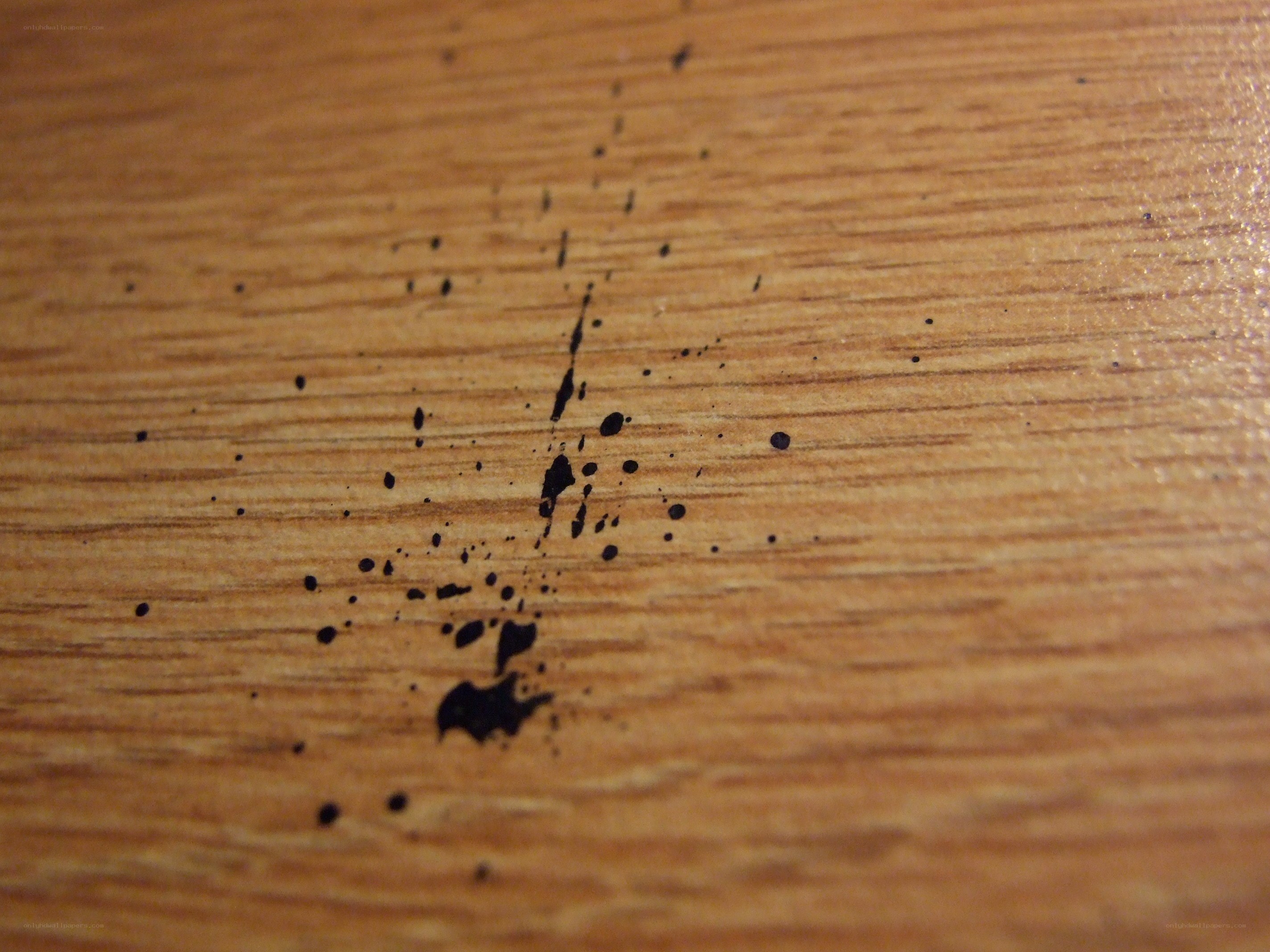 black ink splatters on wood