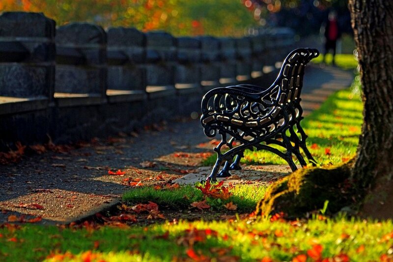 Black Iron Bench