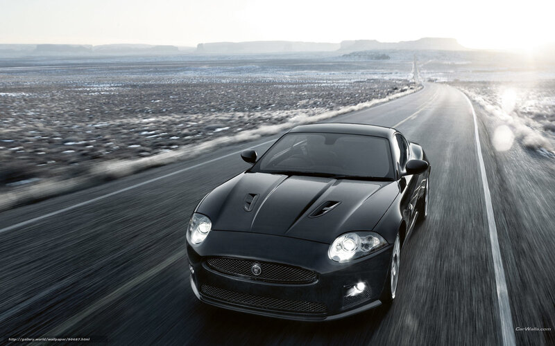 Black Jaguar Car — Dynamic
