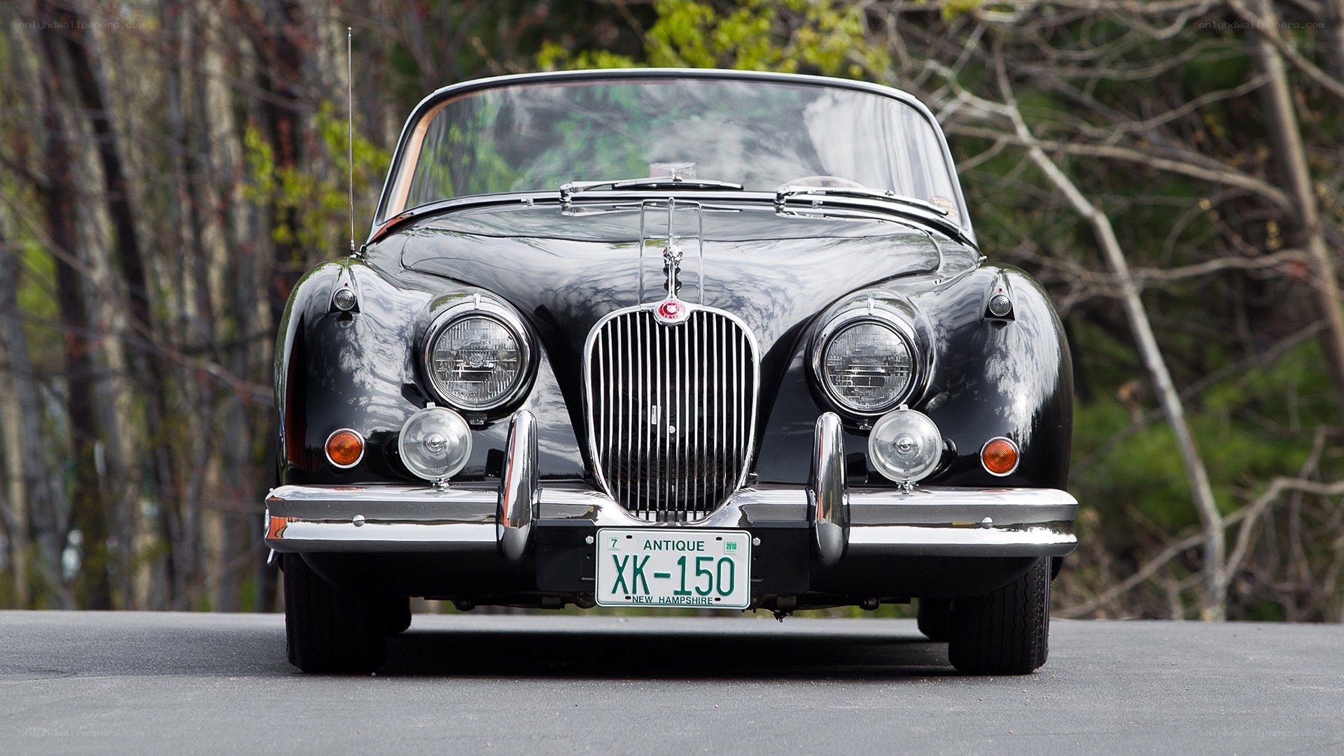 Black Jaguar car front view