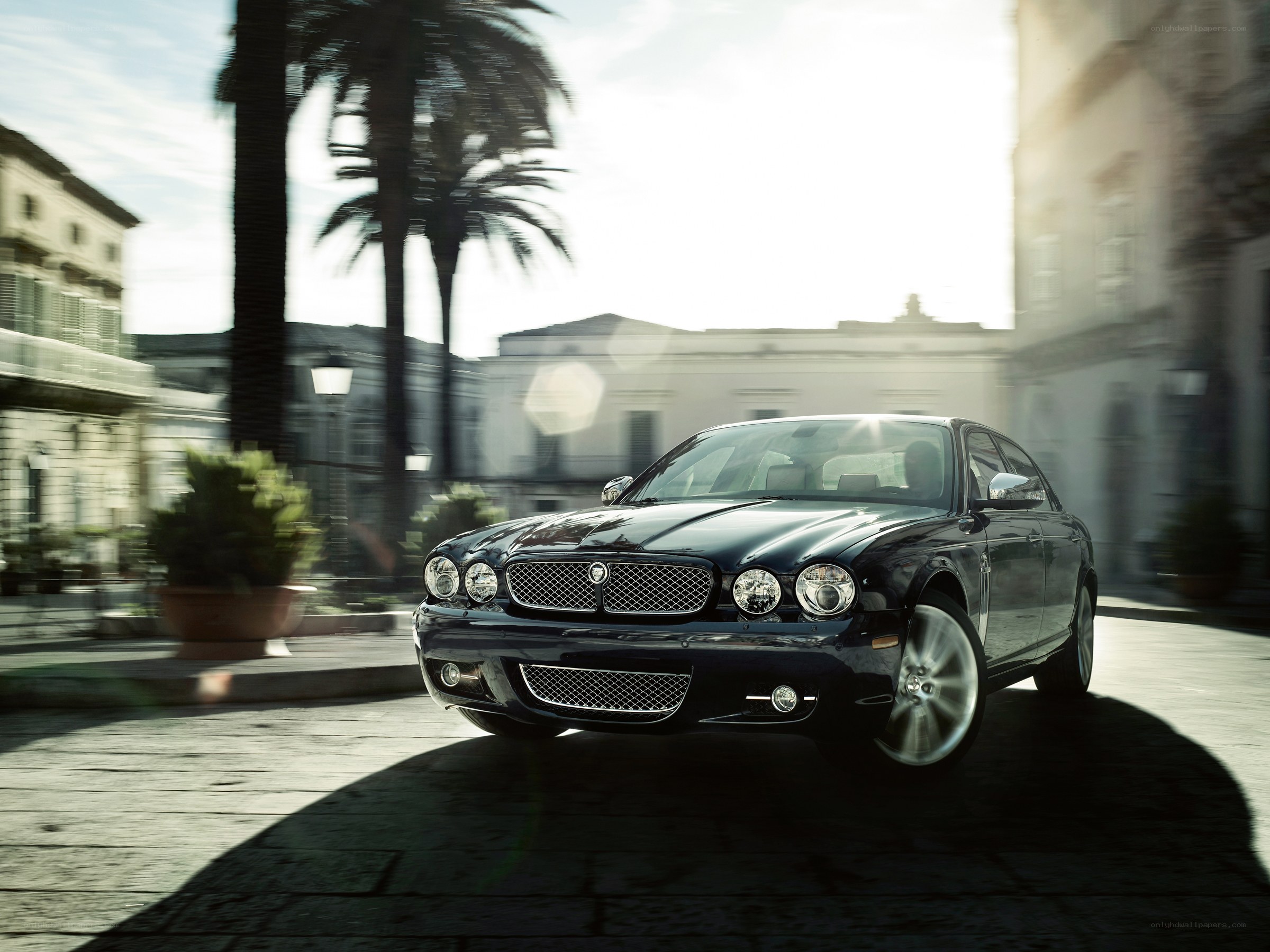 Black Jaguar car in city
